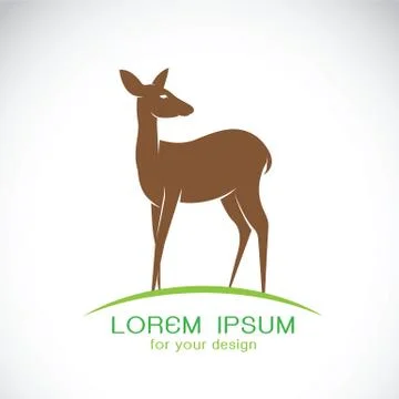 Vector of a deer design on a white background. Wild Animals. 스톡 일러스트