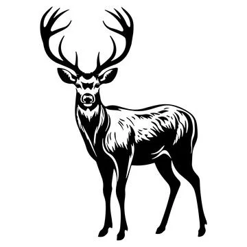 Vector Deer Silhouette Black Hand drawn Figure. Stock Illustration