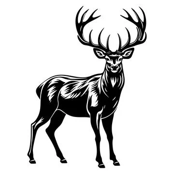 Vector Deer Silhouette Black Hand drawn Figure. Stock Illustration