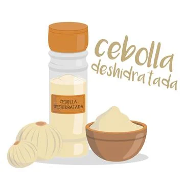 Vector dehydrated onion illustration isolated in cartoon style. Spanish nam.. Stock Illustration