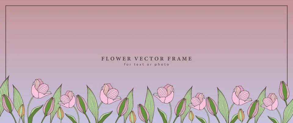 Vector delicate floral frame for text or photo with pale pink tulips Stock Illustration