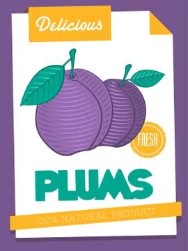 Vector delicious plums poster Illustrazione stock