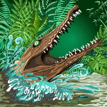 Vector design on an alligator attack coming out from the rain-forest swamp with Stock Illustration