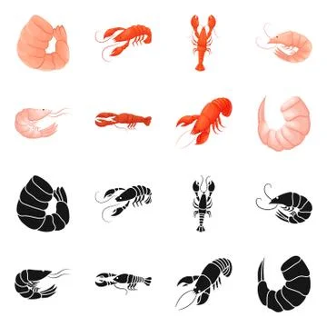 Vector design of appetizer and ocean sign. Set of appetizer and delicacy stock Stock Illustration