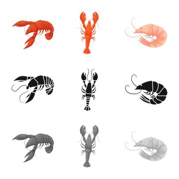 Vector design of appetizer and ocean logo. Collection of appetizer and delicacy Stock Illustration