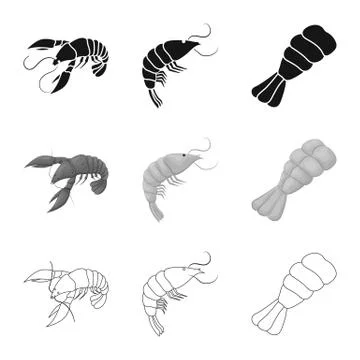 Vector design of appetizer and ocean symbol. Collection of appetizer and Stock Illustration