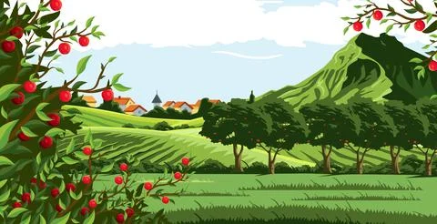 Vector design for an apple plantation Stock Illustration