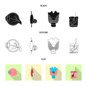 Vector design of body and human symbol. Collection of body and medical stock Illustrazione stock