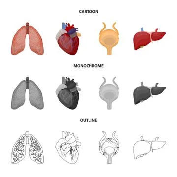 Vector design of body and human symbol. Set of body and medical vector icon for Stock Illustration