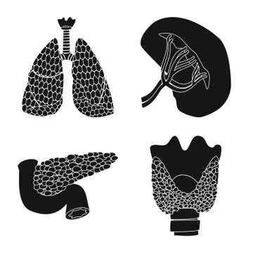 Vector design of body and human logo. Collection of body and medical stock Stock Illustration