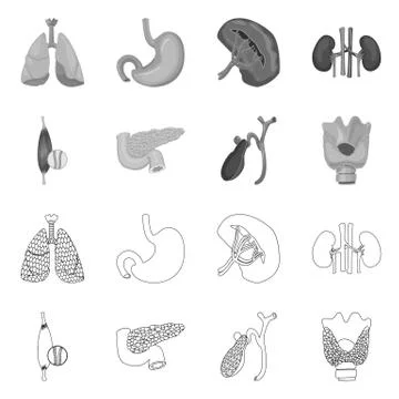 Vector design of body and human logo. Collection of body and medical stock 스톡 일러스트