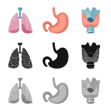 Vector design of body and human icon. Set of body and medical stock vector Illustrazione stock