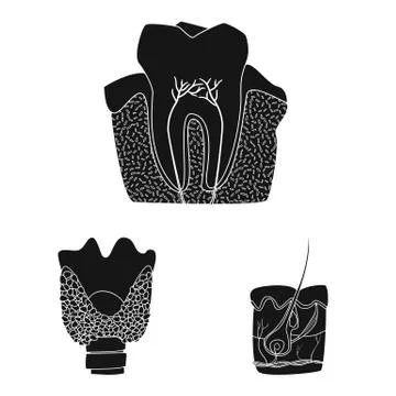Vector design of body and human logo. Collection of body and medical vector icon 스톡 일러스트