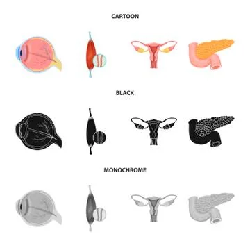 Vector design of body and human logo. Set of body and medical stock vector Stock Illustration