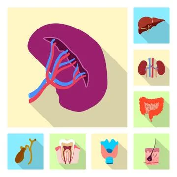 Vector design of body and human icon. Set of body and medical stock vector Illustrazione stock
