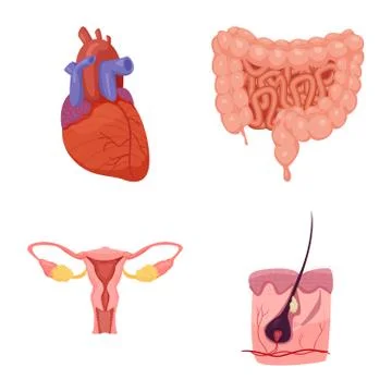 Vector design of body and human sign. Collection of body and medical stock Stock Illustration