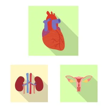 Vector design of body and human icon. Set of body and medical stock symbol for Stock Illustration