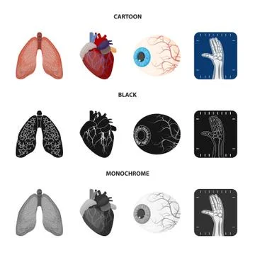 Vector design of body and human sign. Collection of body and medical vector icon Stock-Illustration
