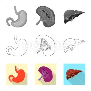Vector design of body and human logo. Collection of body and medical stock Stock Illustration