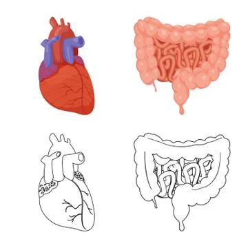 Vector design of body and human sign. Collection of body and medical stock イラスト素材