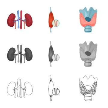 Vector design of body and human icon. Collection of body and medical stock Illustrazione stock