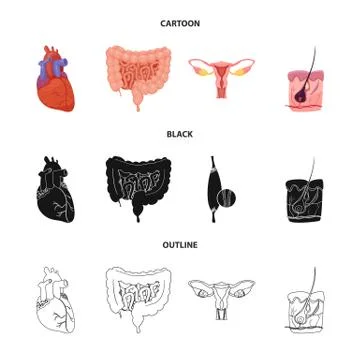 Vector design of body and human icon. Set of body and medical vector icon for Stock Illustration