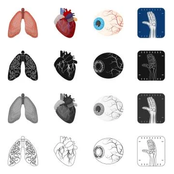 Vector design of body and human sign. Set of body and medical stock symbol for Stock-Illustration