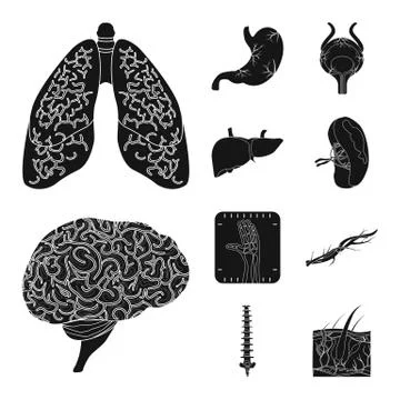 Vector design of body and human symbol. Collection of body and medical vector Stock Illustration