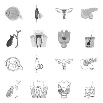 Vector design of body and human logo. Collection of body and medical stock 스톡 일러스트