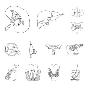 Vector design of body and human sign. Collection of body and medical stock Illustrazione stock