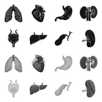 Vector design of body and human sign. Collection of body and medical vector icon Stock Illustration