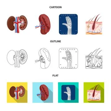 Vector design of body and human sign. Set of body and medical stock symbol for Stock Illustration
