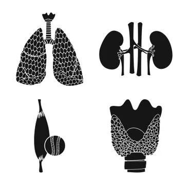 Vector design of body and human symbol. Set of body and medical stock vector Stock Illustration