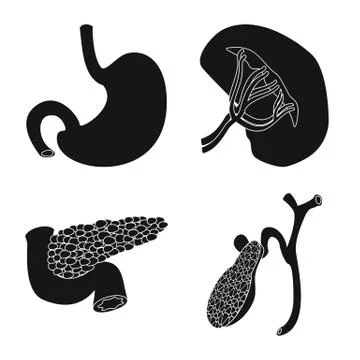 Vector design of body and human sign. Set of body and medical vector icon for Stock Illustration