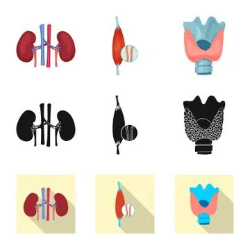 Vector design of body and human symbol. Set of body and medical stock symbol for Stock Illustration