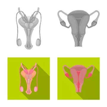 Vector design of body and human logo. Collection of body and medical stock Stock Illustration