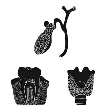 Vector design of body and human icon. Collection of body and medical stock Illustrazione stock