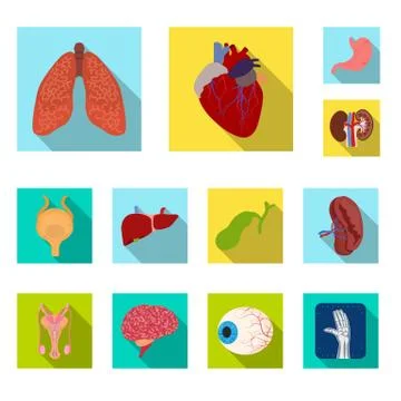 Vector design of body and human icon. Set of body and medical stock symbol for Stock Illustration