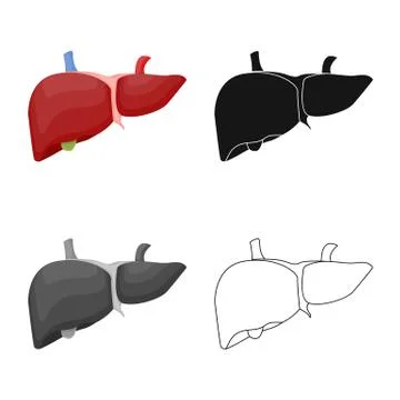 Vector design of body and human icon. Collection of body and medical vector icon Stock Illustration