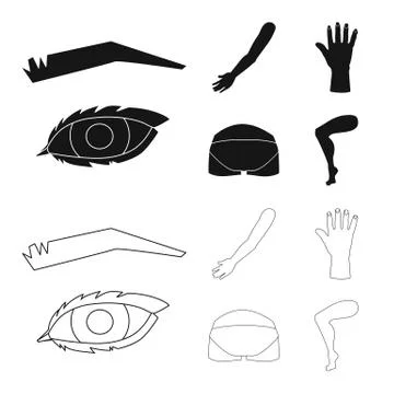 Vector design of body and part symbol. Set of body and anatomy stock symbol for Stock Illustration
