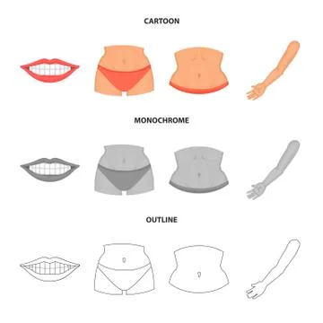 Vector design of body and part symbol. Set of body and anatomy vector icon for Stock-Illustration