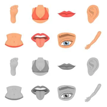 Vector design of body and part sign. Collection of body and anatomy vector icon Stock Illustration