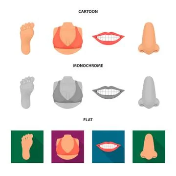Vector design of body and part logo. Collection of body and anatomy stock vector Stock Illustration