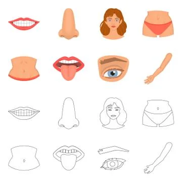 Vector design of body and part logo. Collection of body and anatomy stock symbol Stock Illustration