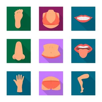 Vector design of body and part sign. Set of body and anatomy stock vector Stock-Illustration