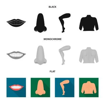 Vector design of body and part symbol. Set of body and anatomy stock vector Stock Illustration
