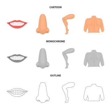 Vector design of body and part logo. Collection of body and anatomy vector icon Stock Illustration