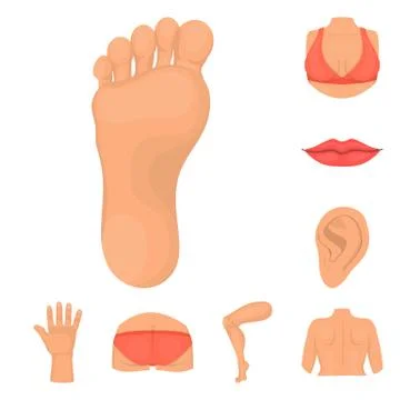 Vector design of body and part logo. Collection of body and anatomy vector icon Stock Illustration