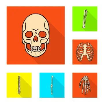 Vector design of bone and skeleton logo. Collection of bone and human vector 스톡 일러스트
