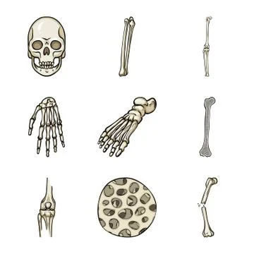 Vector design of bone and skeleton logo. Collection of bone and human stock Stock Illustration